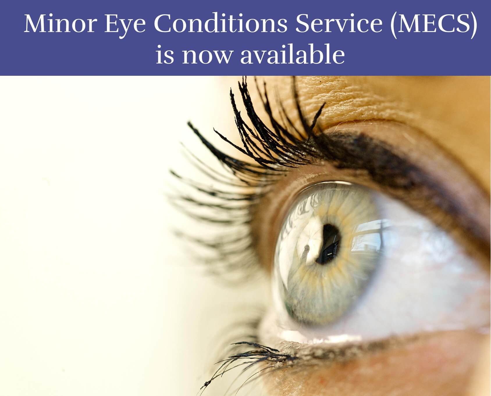 Minor Eye Conditions Service (MECS)